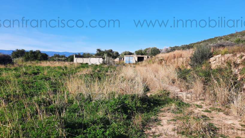 Finca,En Venta,1148