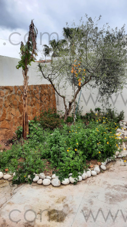 Barco, 3 Habitaciones Habitaciones, ,1 BañoBathrooms,Chalet,En Venta,1149